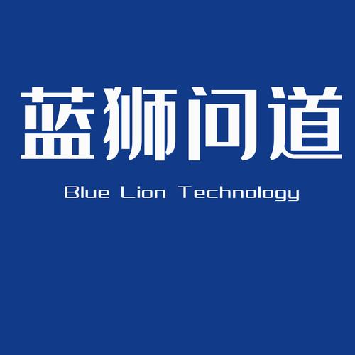 上海 网站seo推广代运营公司